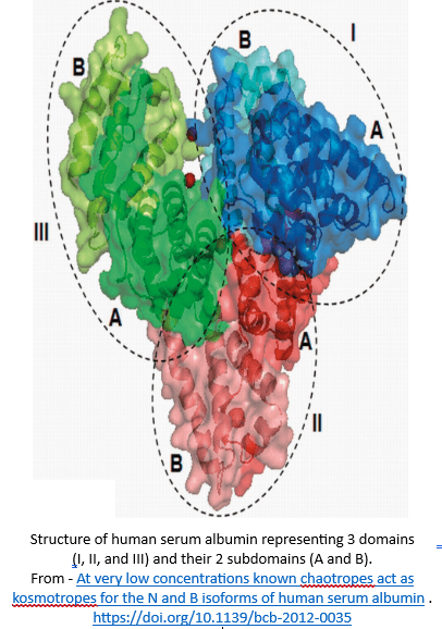 Basic albumin structure from doi.org10.1139bcb-2012-0035 The basic structure of albumin in About Albumin, From doi.org10.1139bcb-2012-0035