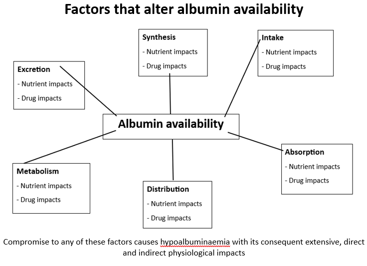 Factors that affect albumin availability in MedNut Mail article Drug-induced hypoalbuminaemia Albumin availability is affected by 6 key factors as outlined in MedNut Mail article Drug-induced hypoalbuminaemia
