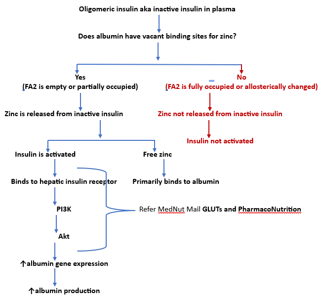 Insulin-albumin interdependence in MedNut Mail Albumin and the Zinc Switch The importance of zinc in the insulin-albumin interrelationship in MedNut Mail Albumin and the Zinc Switch