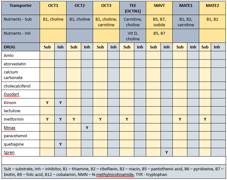 Mr ADN's drug-nutrient-transporter matrix 1 in Albumin and minerals in combination Transporter matrix 1 for Mr ADN's case study in Albumin and minerals in combination