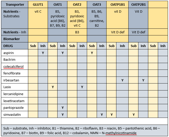 Mr ADO's drug-nutrient-transporter matrix 2 for the Case study in Albumin and thyroxine The drug-nutrient transporter matrix 2 for Mr ADO's case study in MedNut Mail Albumin and thyroxine