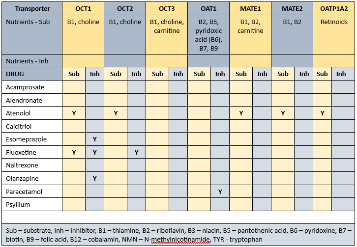 Nutrients affected by his prescribed medications carried by transporters in Mr APD's case study in MedNut Mail