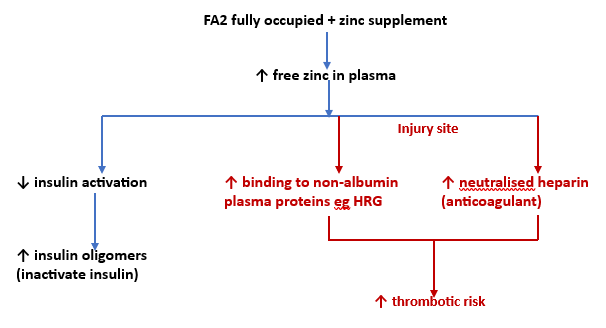 Zinc Switch and coagulation in MedNut Mail Albumin and the Zinc Switch The proposed importance of the Zinc Switch in the coagulation cascade IN MedNut Mail Albumin and the Zinc Switch