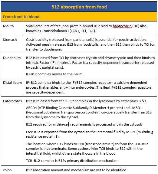 From food to blood absorption outline for B12 absorption from MedNut Mail post B12 absorption