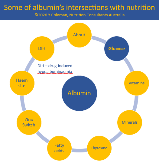 Glucose and albumin interactions include glycosylation, glycation, and glucuronidation in MedNut Mail post Albumin and glucose
