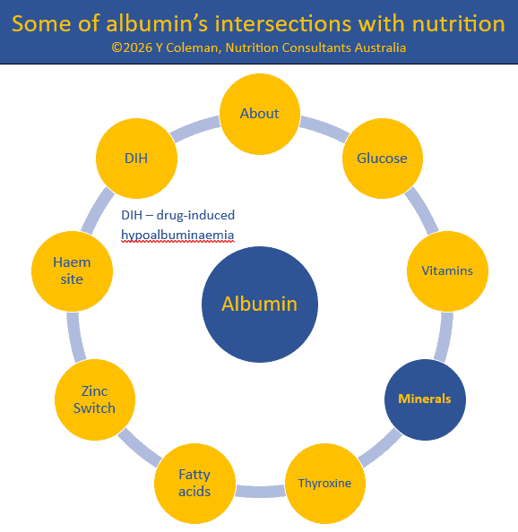 Some of Albumin's intersection points with nutrition in MedNut Mail post Albumin and minerals Interactions with thyroxine is one of albumin's intersection points with nutrition in MedNut Mail post Albumin and minerals in combination