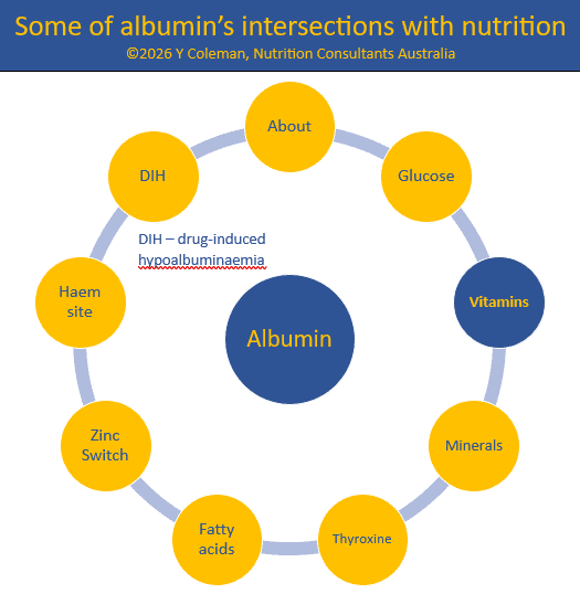 Interactions with thyroxine is one of albumin's intersection points with nutrition in MedNut Mail post Albumin and vitamins