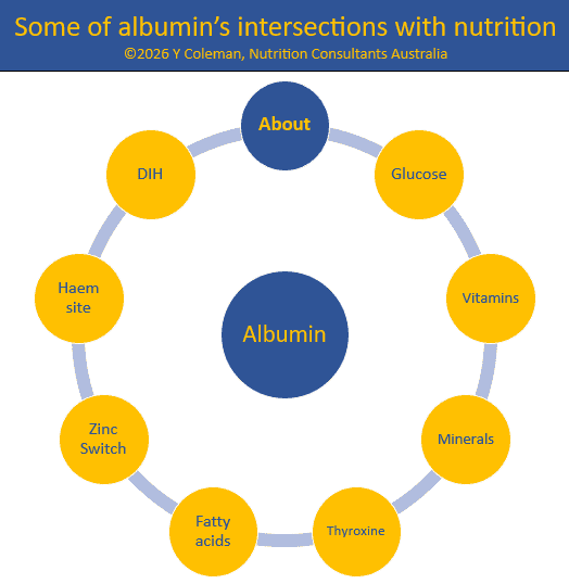 Some of albumin's intersections with nutrition in MedNut Mail post About Albumin Albumin intersects with multiple nutrition functions as outlined in MedNut Mail post About Albumin